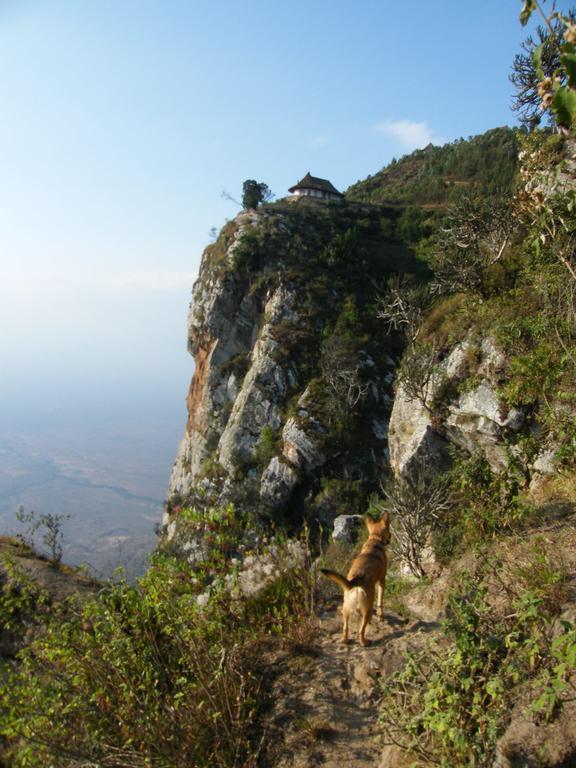 فيلا Mambo View Point Ndungu المظهر الخارجي الصورة