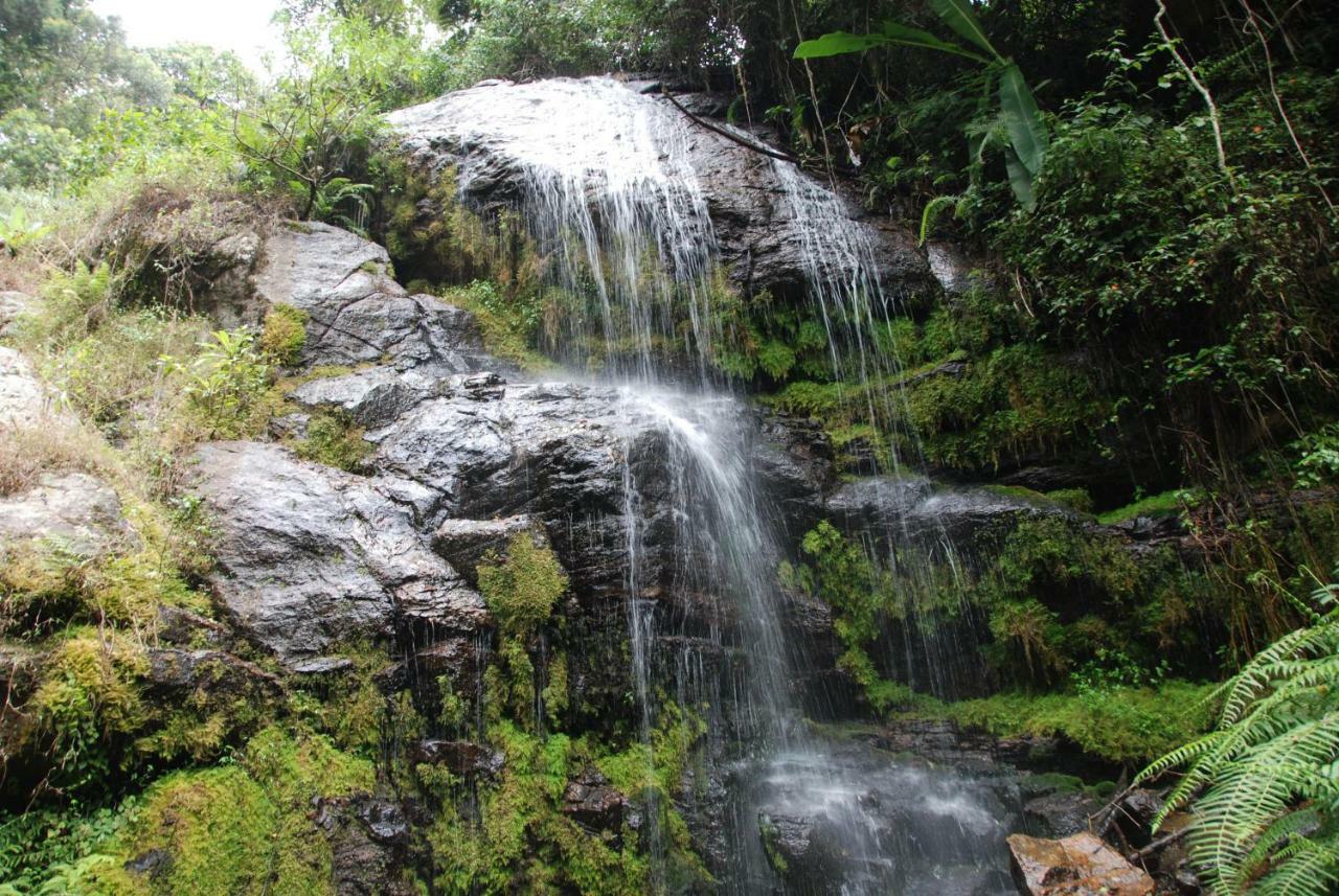 فيلا Mambo View Point Ndungu المظهر الخارجي الصورة