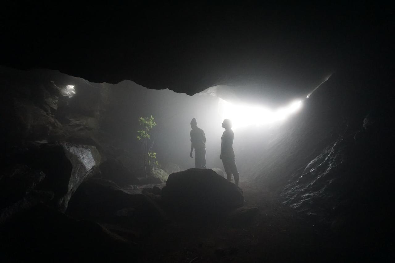 فيلا Mambo View Point Ndungu المظهر الخارجي الصورة